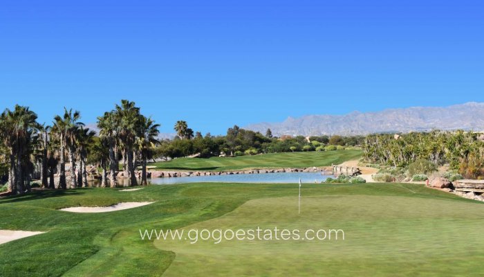 Nieuwbouw - Villa - Cuevas del Almanzora - Villaricos