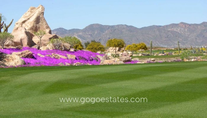 Nieuwbouw - Villa - Cuevas del Almanzora - Villaricos