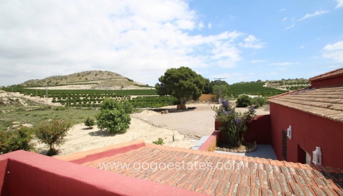 Te koop - Huis - Finca - Cortijo - Orihuela - Torremendo
