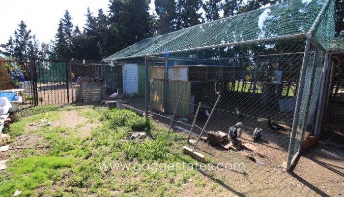 Te koop - Huis - Bungalow - Orihuela - Orihuela Costa