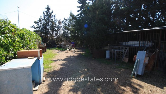 Te koop - Huis - Bungalow - Orihuela - Orihuela Costa