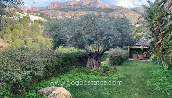 Te koop - Huis - Bungalow - Altea - Altea Centro