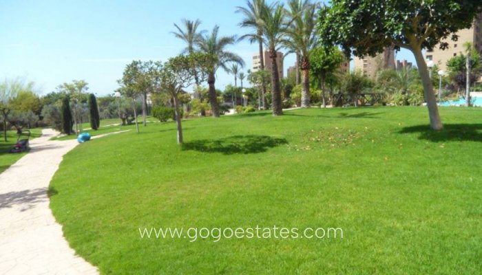 Te koop - Appartement - Appartement op de middelste verdieping - Benidorm - Benidorm Centro