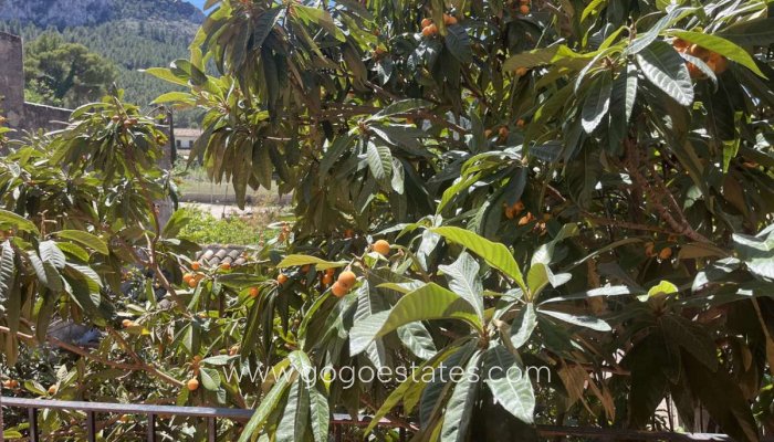 Revente - Maison - Villa Individuelle - Orba - Orba Centro