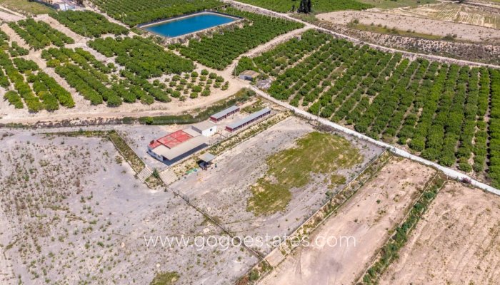 Revente - Maison - Finca - Cortijo - Los Montesinos - Los Montesinos Centro