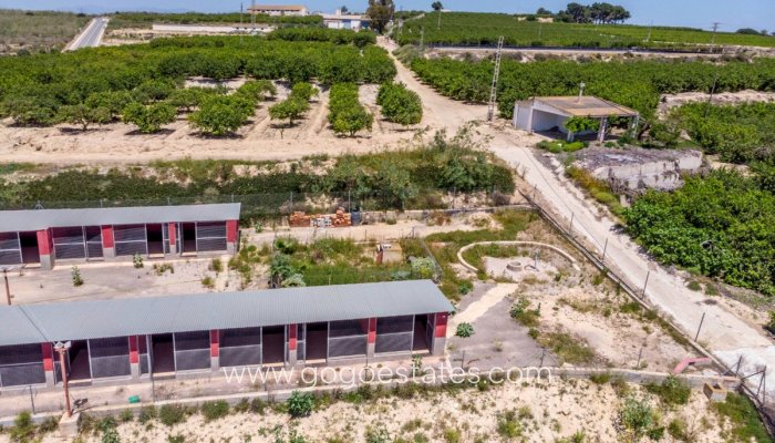 Revente - Maison - Finca - Cortijo - Los Montesinos - Los Montesinos Centro