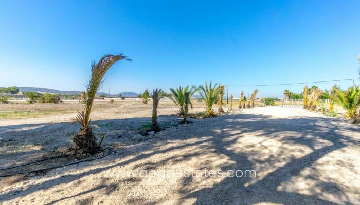 Te koop - Huis - Vrijstaande Villa - Orihuela - Orihuela Centro