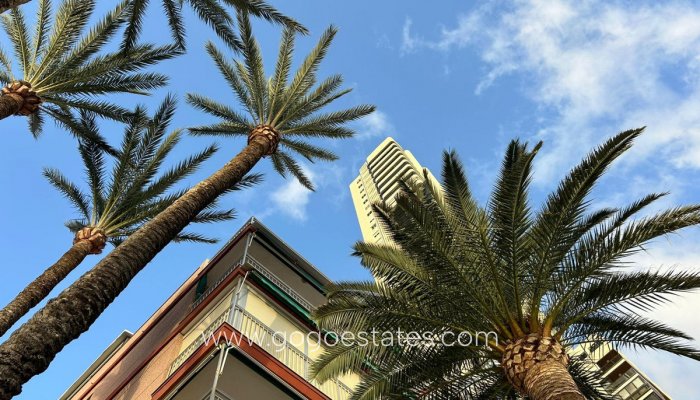 Te koop - Appartement - Appartement op de middelste verdieping - Benidorm - Benidorm Centro