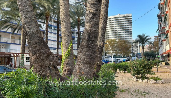 Te koop - Appartement - Appartement op de middelste verdieping - Benidorm - Benidorm Centro