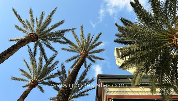 Te koop - Appartement - Appartement op de middelste verdieping - Benidorm - Benidorm Centro