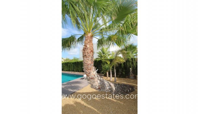 Te koop - Huis - Vrijstaande Villa - Rojales - Rojales Centro