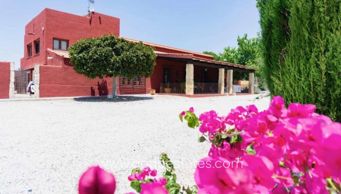 Te koop - Huis - Finca - Cortijo - Orihuela - Torremendo