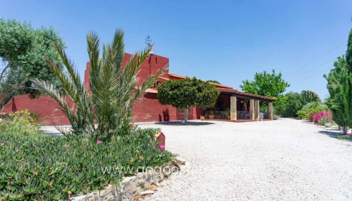Te koop - Huis - Finca - Cortijo - Orihuela - Torremendo