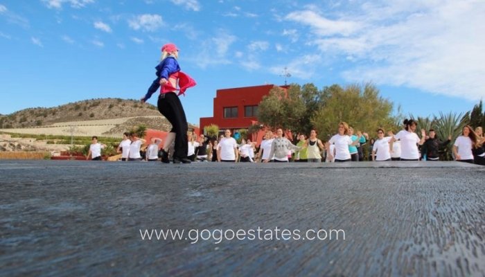 Te koop - Huis - Finca - Cortijo - Orihuela - Torremendo