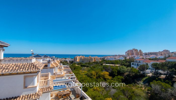 Te koop - Huis - Vrijstaande Villa - Torrevieja - La Mata