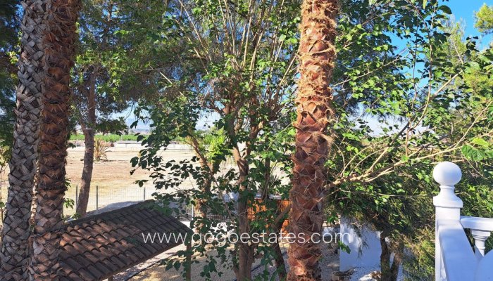 Te koop - Huis - Finca - Cortijo - Orihuela - Orihuela Centro