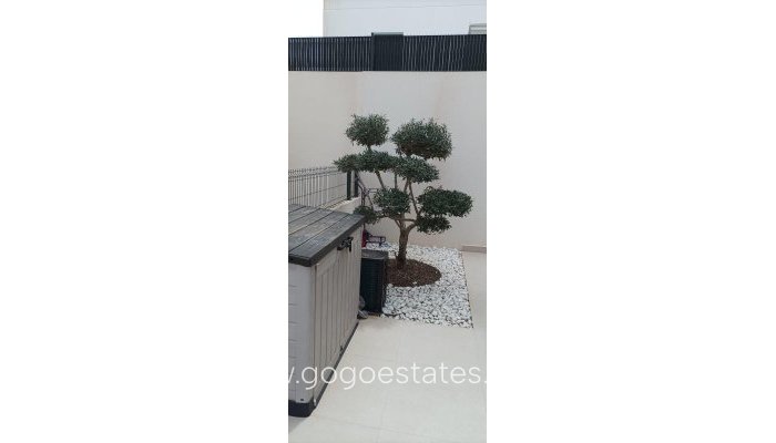 Te koop - Huis - Vrijstaande Villa - Algorfa - La finca golf