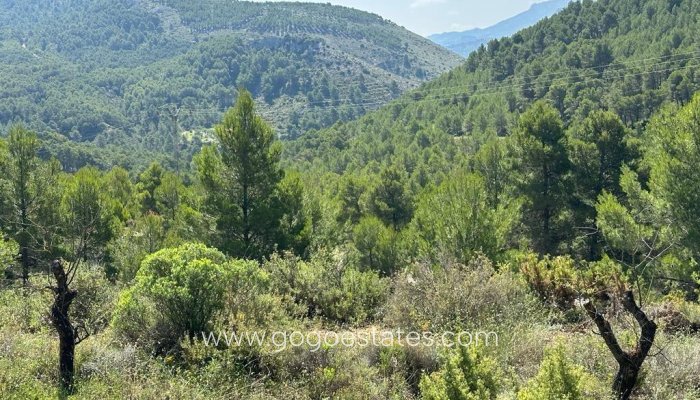 Te koop - Huis - Finca - Cortijo - Confrides - Confrides Centro