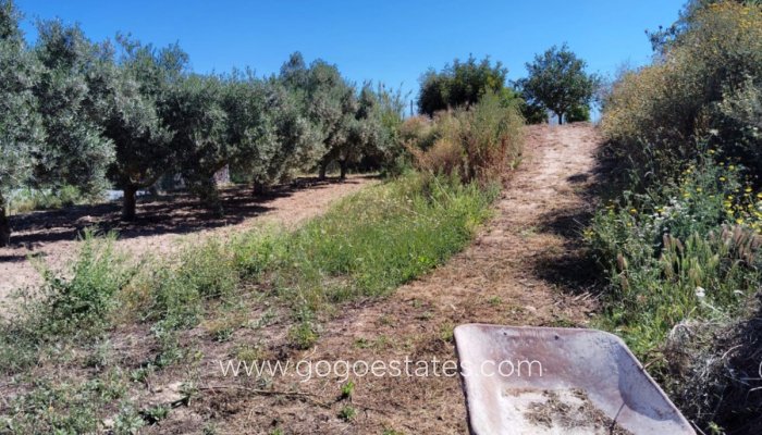 Te koop - Huis - Finca - Cortijo - Teulada - Teulada Centro