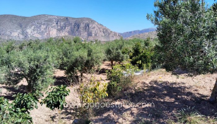 Te koop - Huis - Finca - Cortijo - Teulada - Teulada Centro