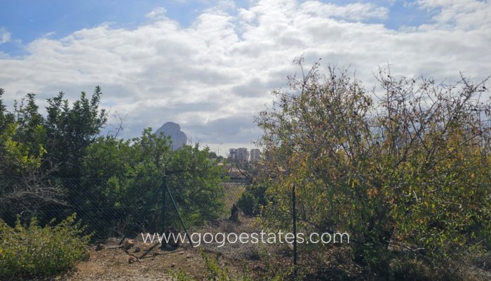 Te koop - Huis - Finca - Cortijo - Calpe - Calpe Centro