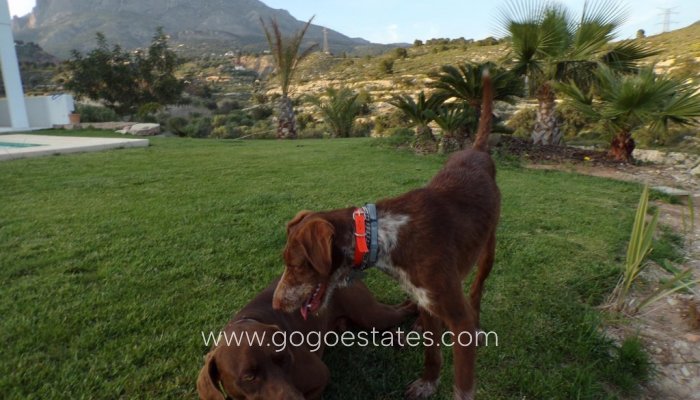 Resale - House - Detached Villa - Finestrat