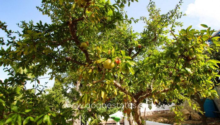 Te koop - Huis - Vrijstaande Villa - Benissa - Benissa Coast