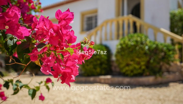 Te koop - Huis - Vrijstaande Villa - Jávea Xàbia - Jávea - Xàbia Centro