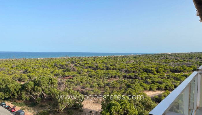 Te koop - Apartamento - Guardamar del Segura - Guardamar del Segura Centro