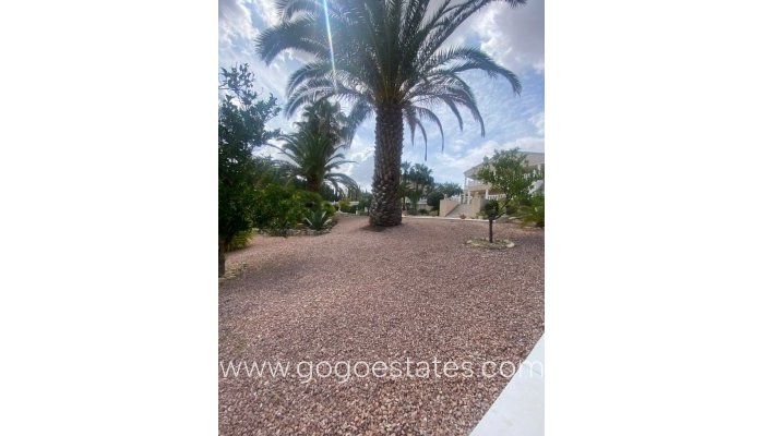 Te koop - Huis - Vrijstaande Villa - Algorfa - Algorfa Centro