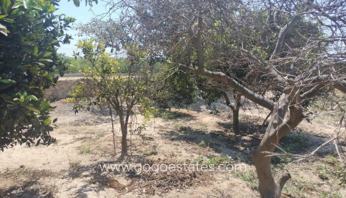 Te koop - Huis - Finca - Cortijo - Benijofar - Daya Vieja Centro