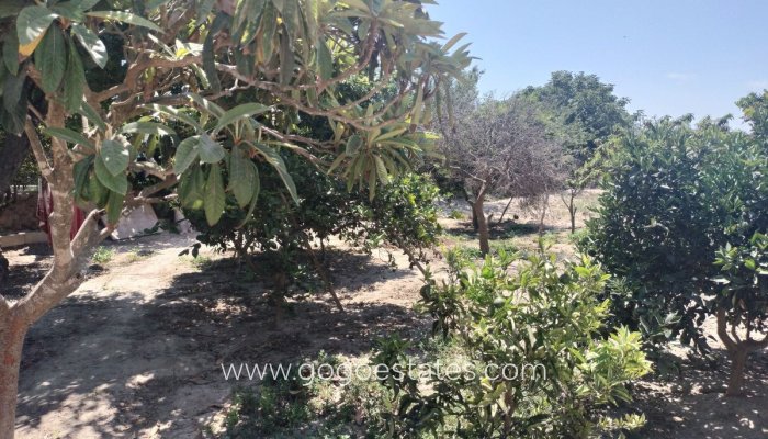 Te koop - Huis - Finca - Cortijo - Benijofar - Daya Vieja Centro