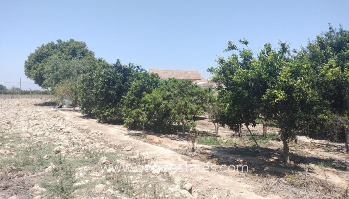 Te koop - Huis - Finca - Cortijo - Benijofar - Daya Vieja Centro
