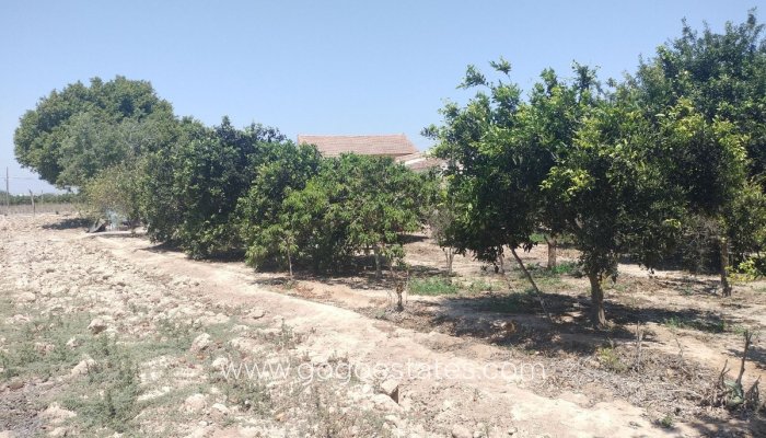 Te koop - Huis - Finca - Cortijo - Benijofar - Daya Vieja Centro