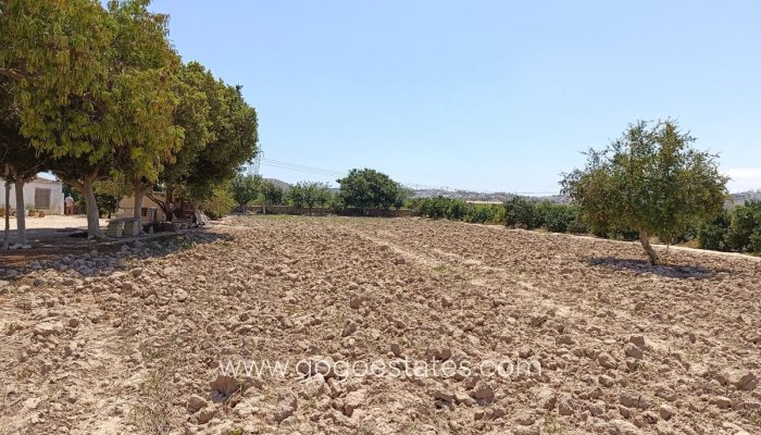 Te koop - Huis - Finca - Cortijo - Benijofar - Daya Vieja Centro