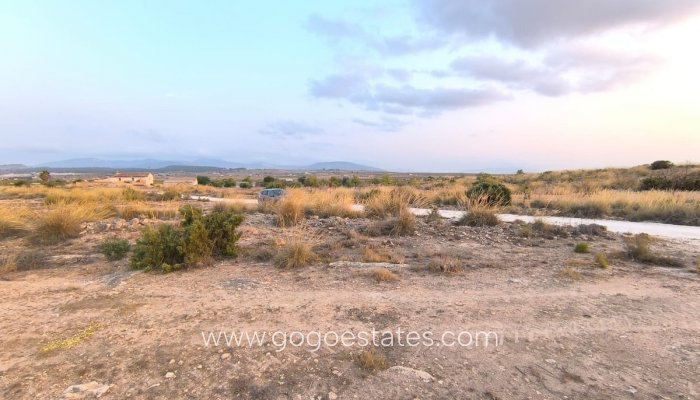 Te koop - Perceel - Land - Pinoso - Pinoso Centro