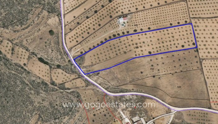 Te koop - Perceel - Land - Pinoso - Pinoso Centro