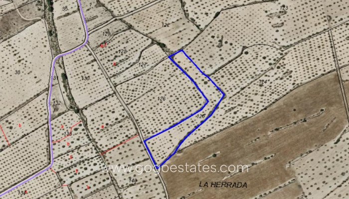 Te koop - Perceel - Land - Pinoso - Pinoso Centro