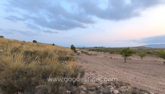 Te koop - Perceel - Land - Pinoso - Pinoso Centro