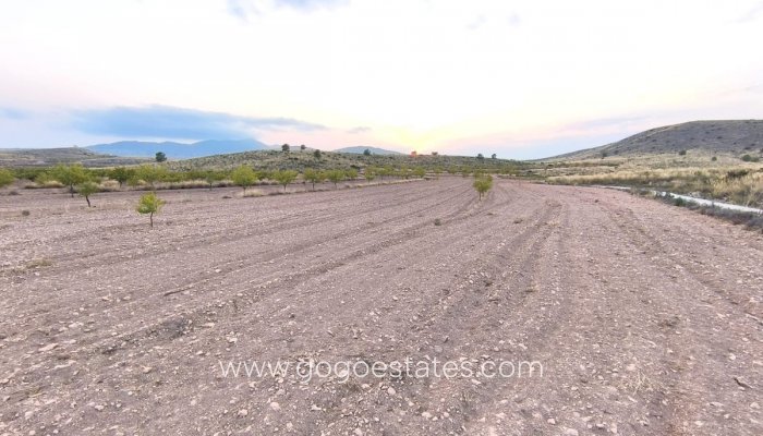 Te koop - Perceel - Land - Pinoso - Pinoso Centro