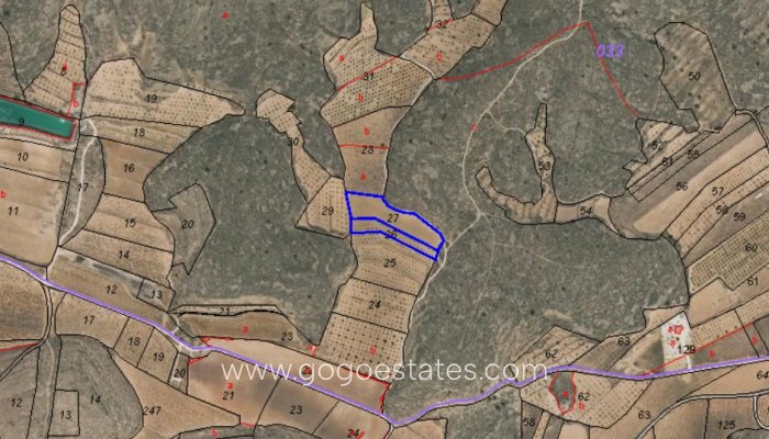 Te koop - Perceel - Land - Pinoso - Pinoso Centro