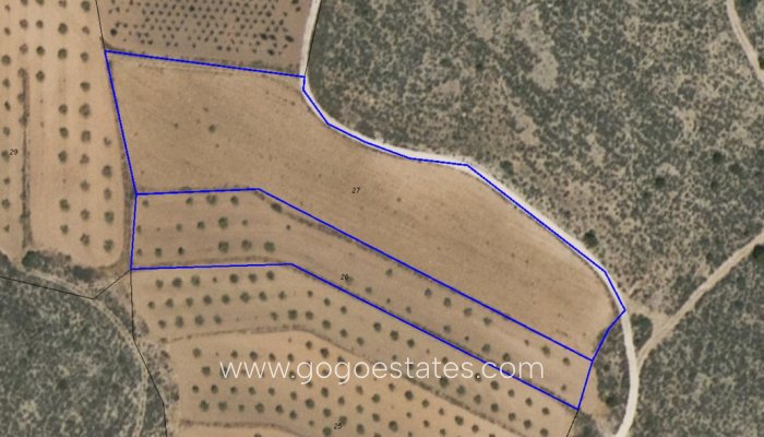 Te koop - Perceel - Land - Pinoso - Pinoso Centro