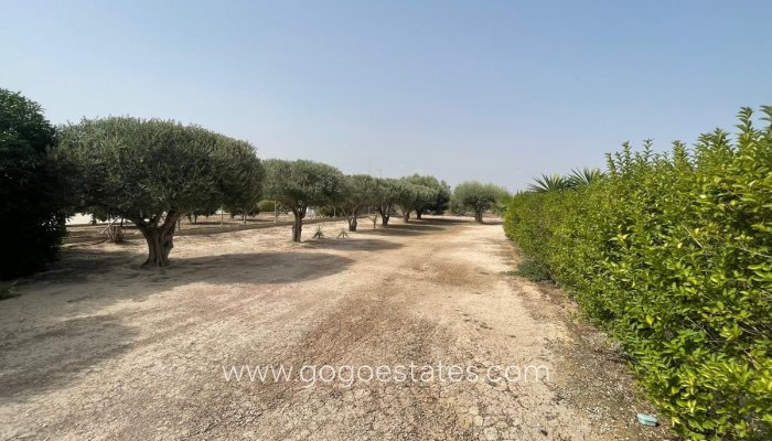 Revente - Maison - Finca - Cortijo - Elche - Elche Centro