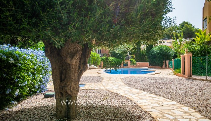 Te koop - Huis - Vrijstaande Villa - Torrevieja - Torrevieja Centro