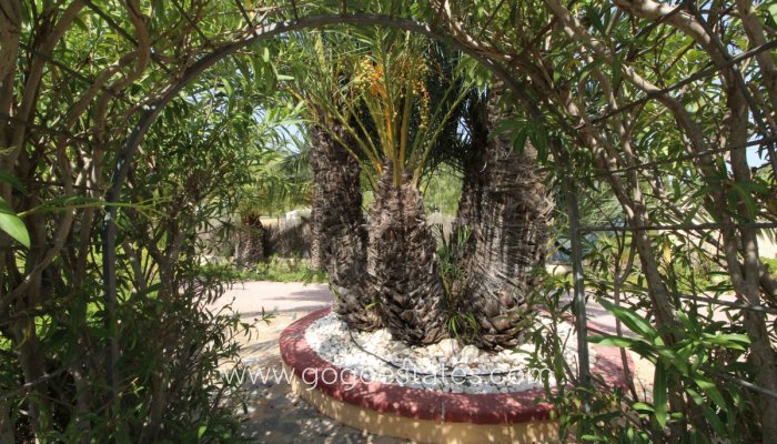 Te koop - Huis - Vrijstaande Villa - Elche - Valverde