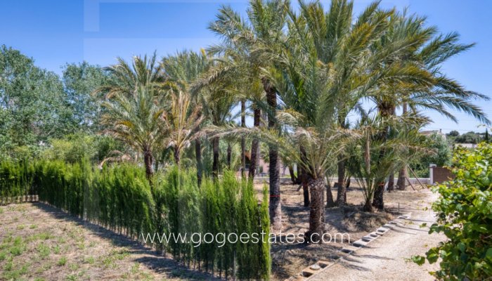 Te koop - Huis - Finca - Cortijo - Teulada - Teulada Centro