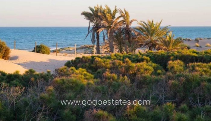 Te koop - Huis - Bungalow - Guardamar del Segura - Guardamar del Segura Centro