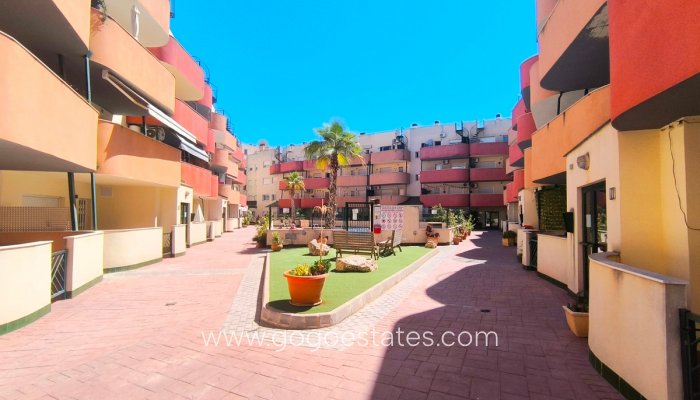 Revente - Appartement - Appartement au rez-de-chaussée - Almoradi - Almoradi Centro