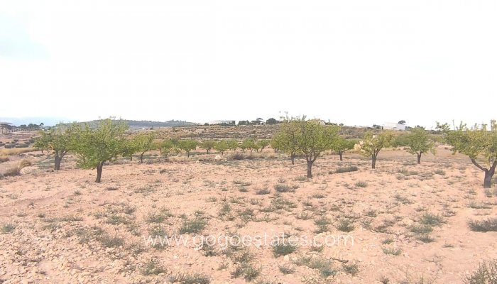 Te koop - Perceel - Land - Pinoso - Pinoso Centro