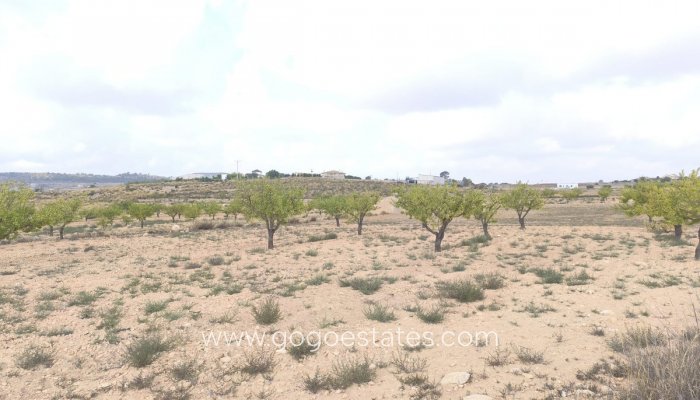 Te koop - Perceel - Land - Pinoso - Pinoso Centro